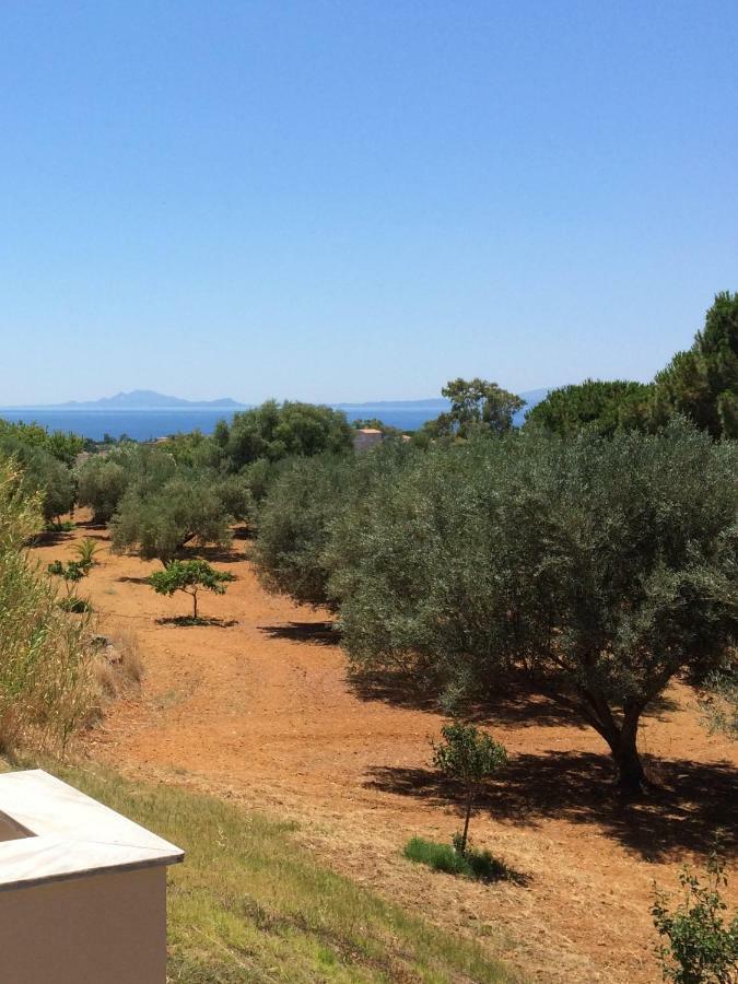 Koukounaries Studios Skala (Kefalonia) Exterior foto